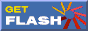 Download Macromedia Flash